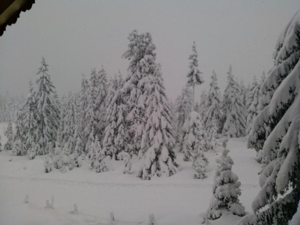Ferienwohnungen Lemberger Krimml Extérieur photo